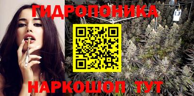 гидра Можга