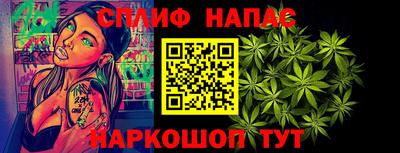 гидра Можга