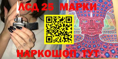 гидра Можга